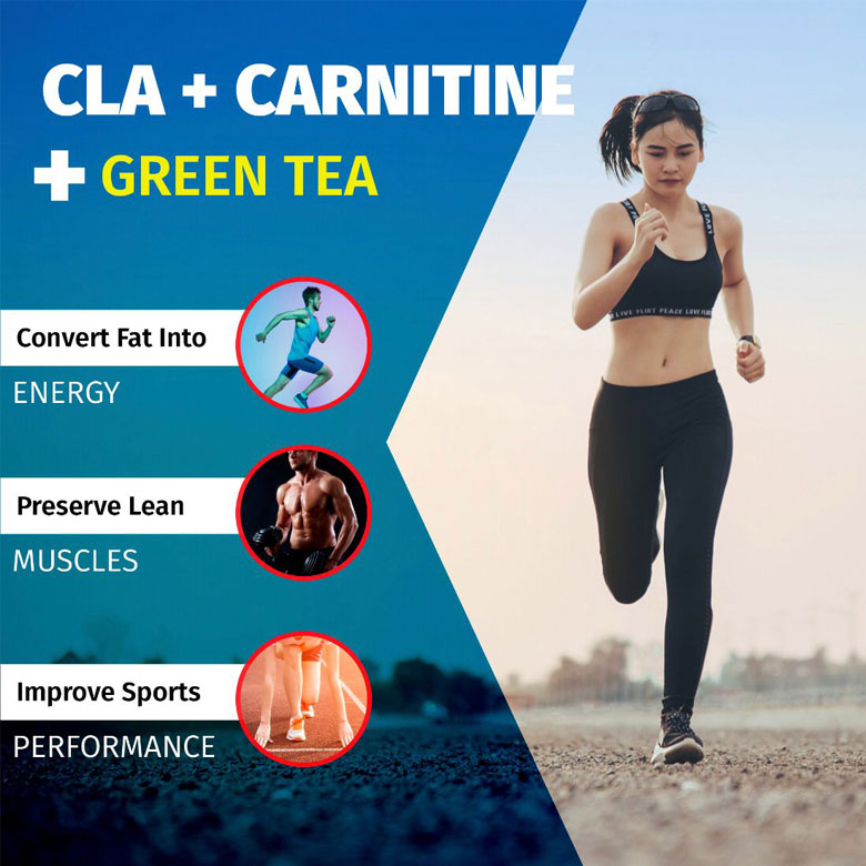 Muscle Metabolix CLA + Carnitine + Green Tea 30 Serving